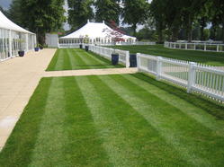 Windsor Racecourse